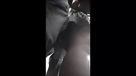 الجمال الملاعين نفسه ...