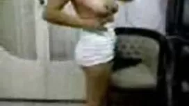ثلاثة الكلبات الروسي ...