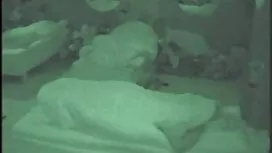 الملاعين محلية الصنع ...